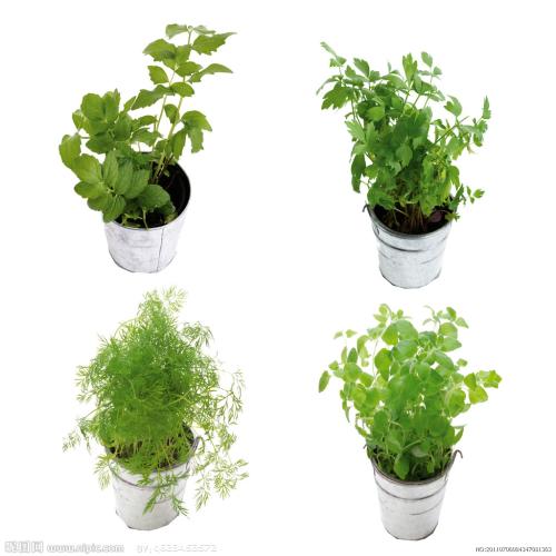 籩Ϯ ½߷ٳÿСʱ100